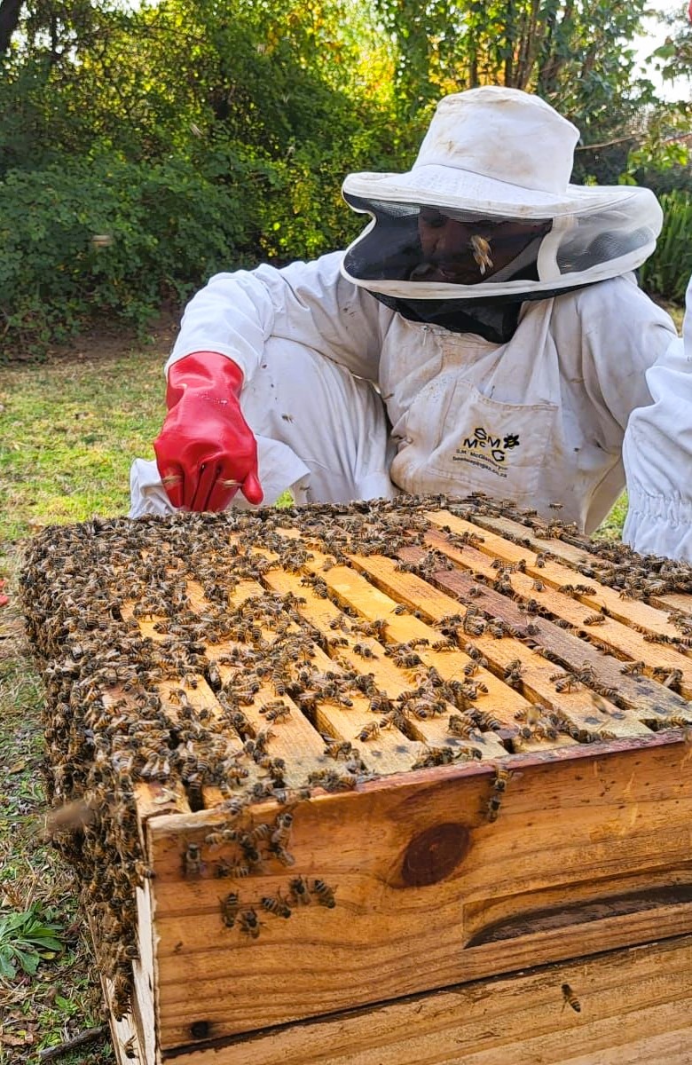 About Saddie Farmers