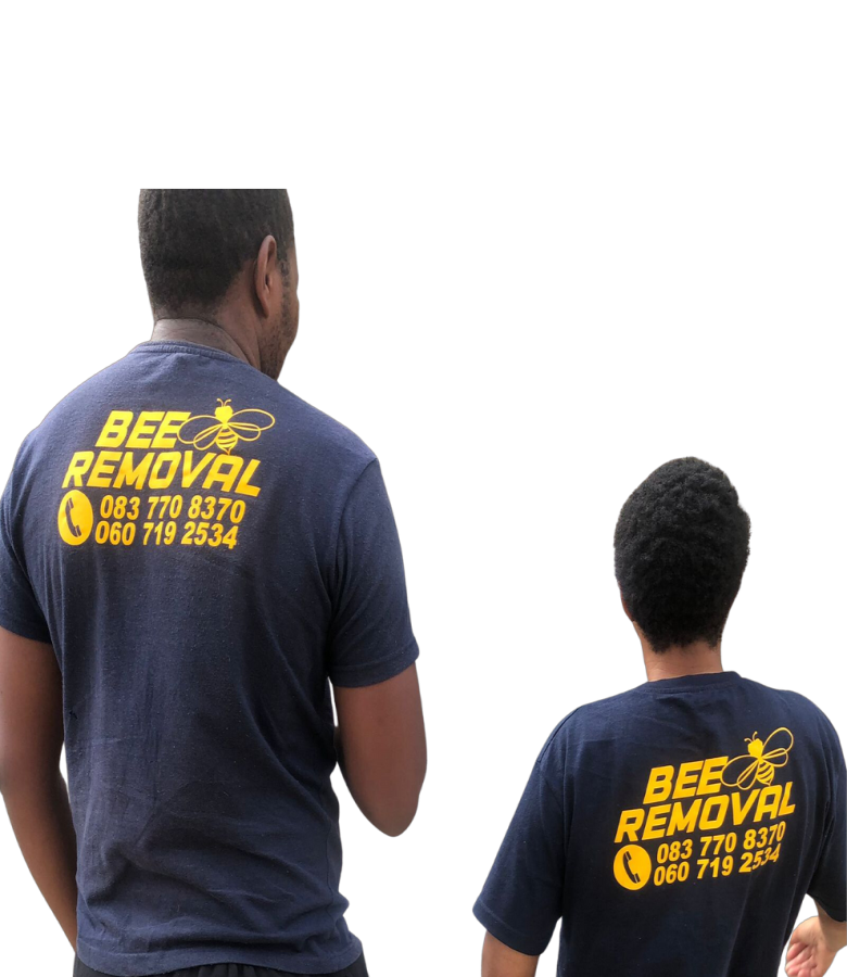 Bee Removal